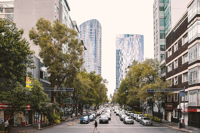 city tour