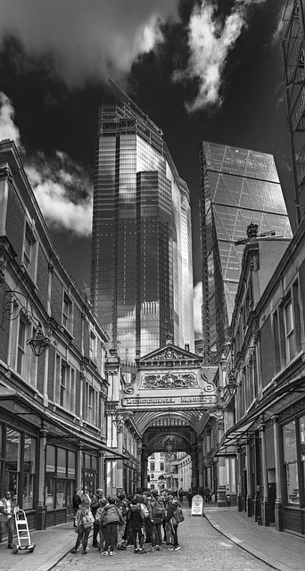 city tour