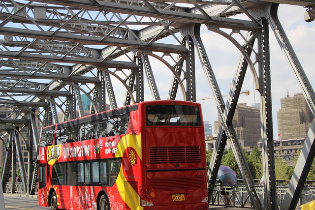 city tour half day