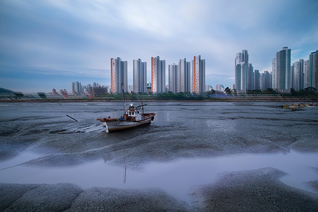 Saadiyat Island & Abu Dhabi City Tour: Cultural Treasures Await