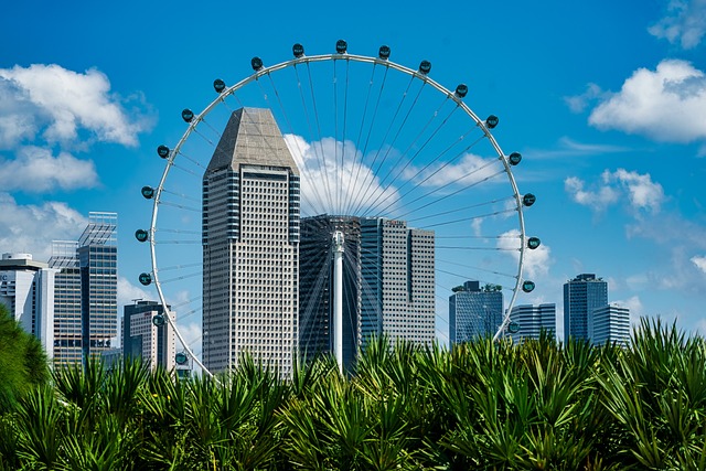 Unveiling Abu Dhabi’s Charms: Complete City Tour Itineraries