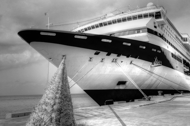 cruise