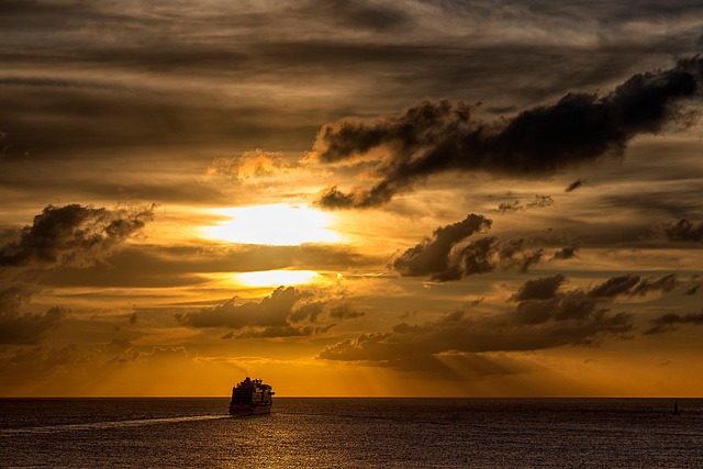 cruise