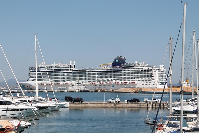 cruise booking