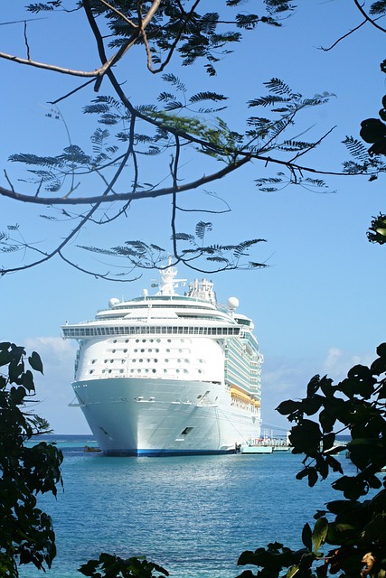 cruise booking