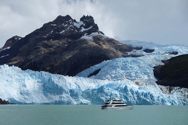 cruise booking
