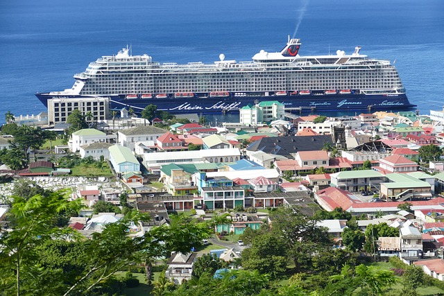 cruise booking