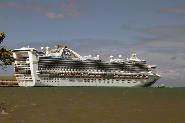 cruise booking