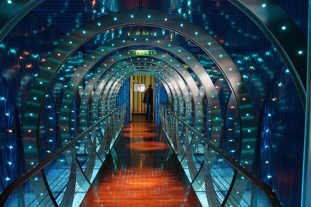 Dubai Cruise Dinner: Navigating Beauty, Indulging Senses on Water