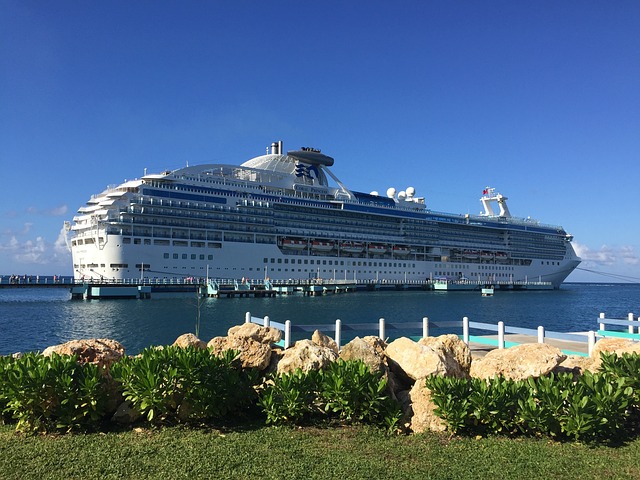 cruise dinner