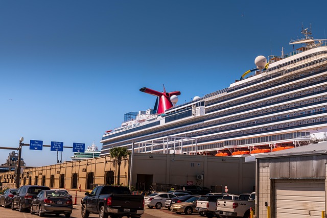 cruise dinner