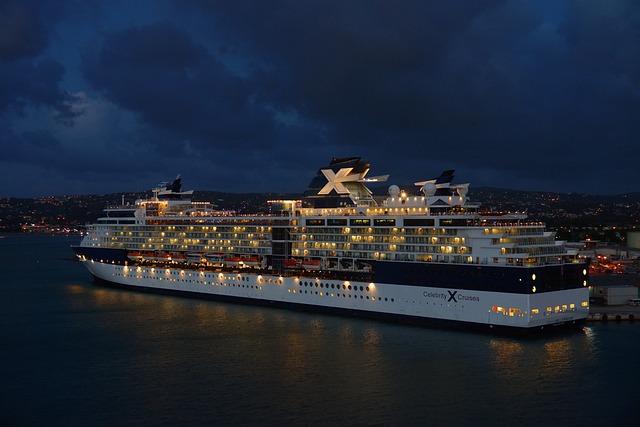 cruise dinner