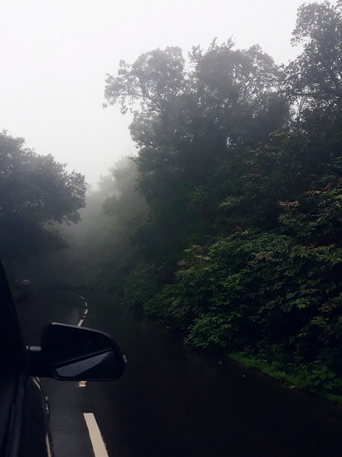 day trip