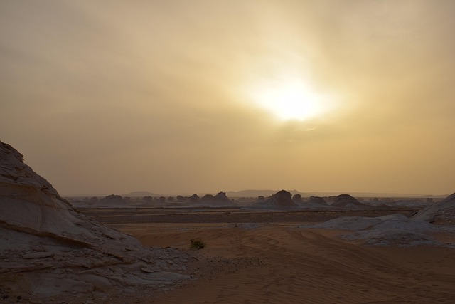 desert