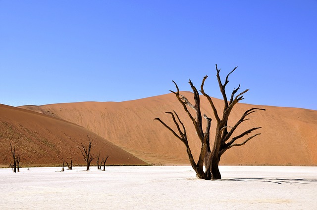 Desert