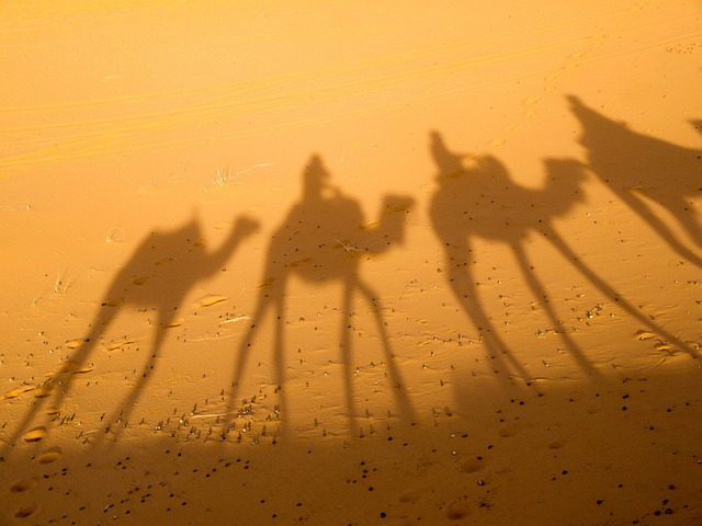 Desert