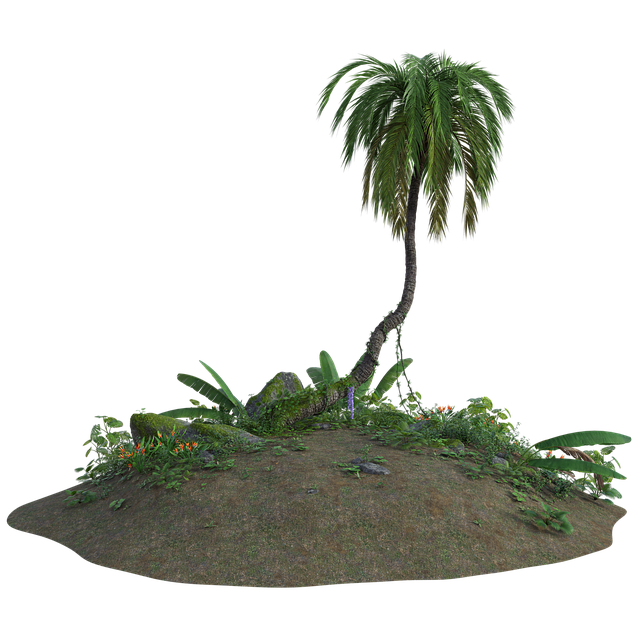 Desert