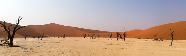 Dubai’s Desert Dune Drives: Safety, Equipment & Top Safari Spots