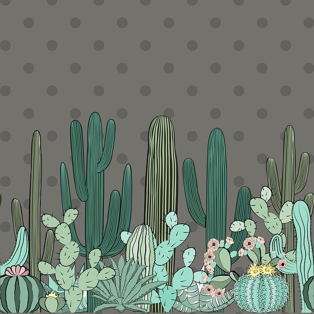 Desert