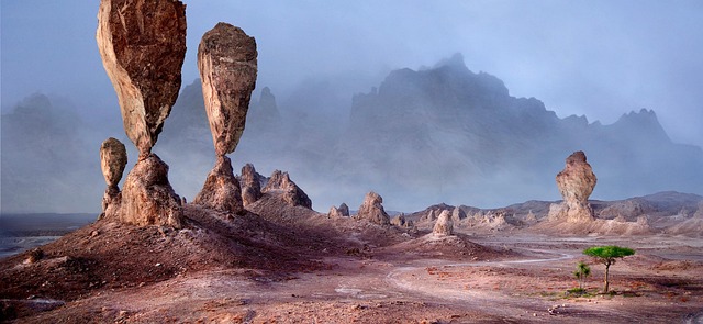 Desert