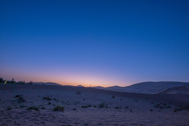 Desert