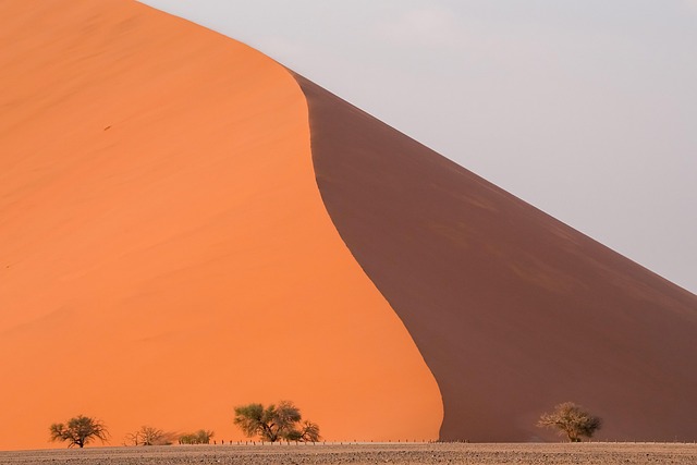 desert