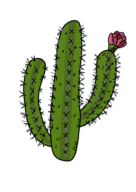 desert