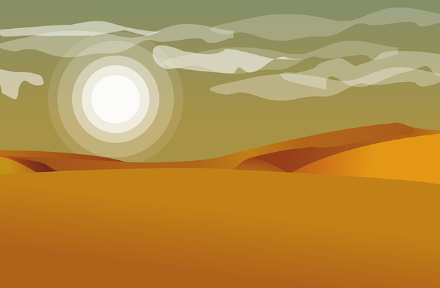 Desert