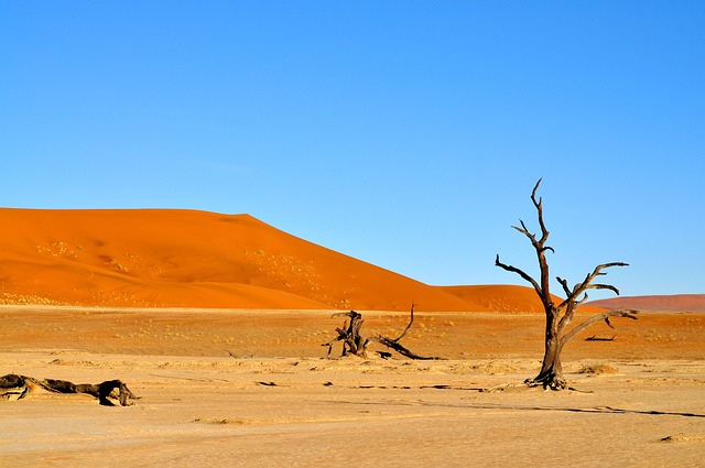 desert