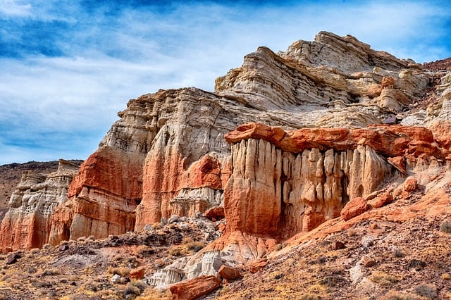 desert balloon