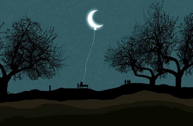 desert balloon