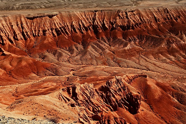 desert balloon