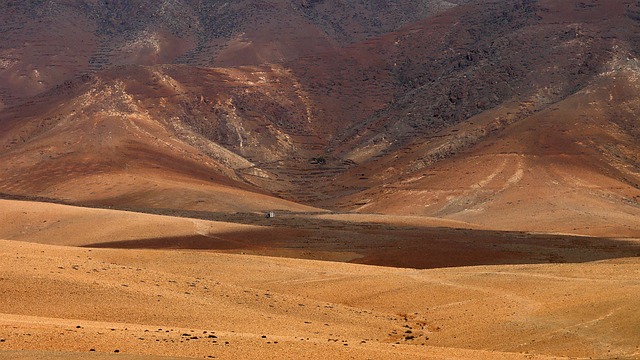 Dubai Desert Buggy Rentals: Explore Unmatched Off-Roading Adventures