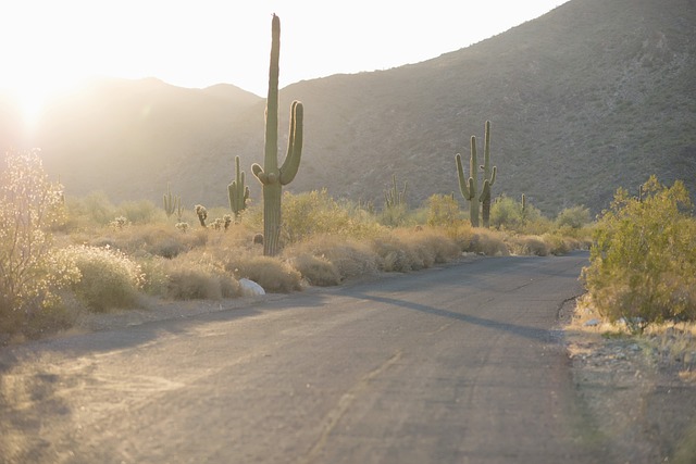 desert-buggy-640x480-72972962.jpeg