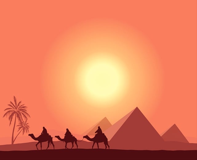 desert-camel-640x480-50458912.jpeg