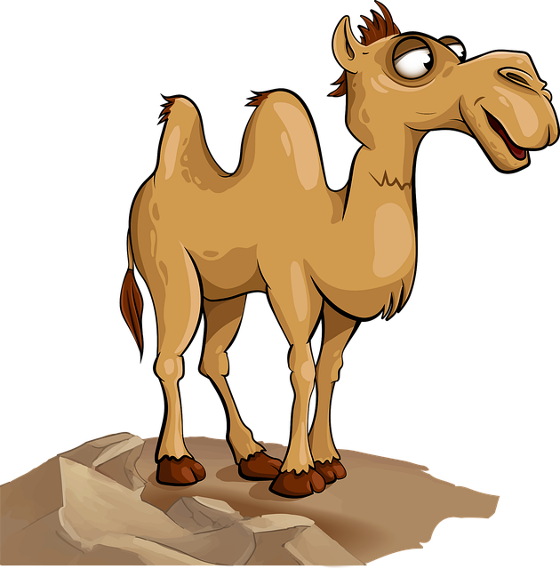 desert camel