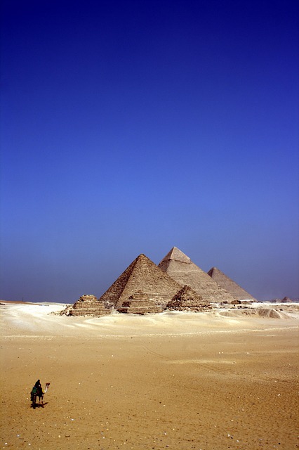 desert-camel-640x480-6869083.jpeg