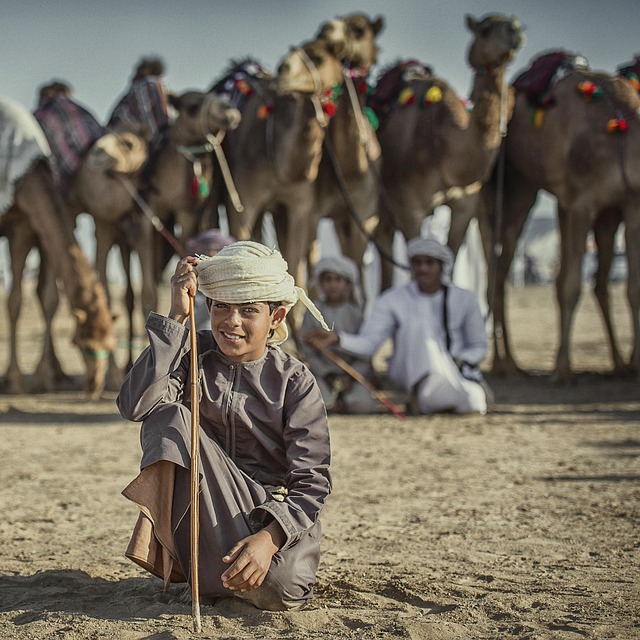 desert camel
