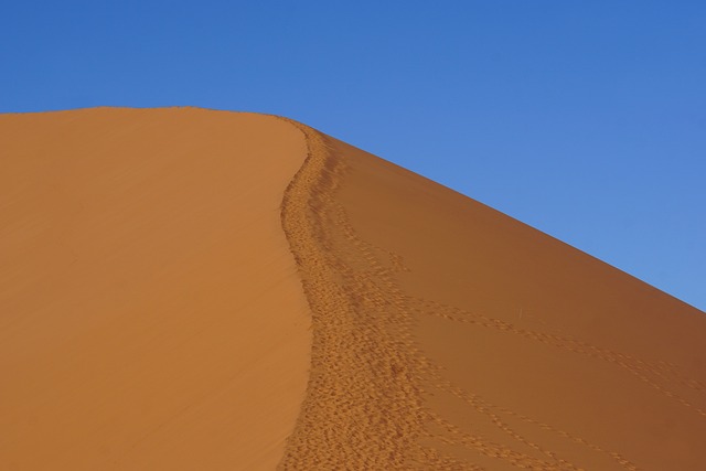 desert dune