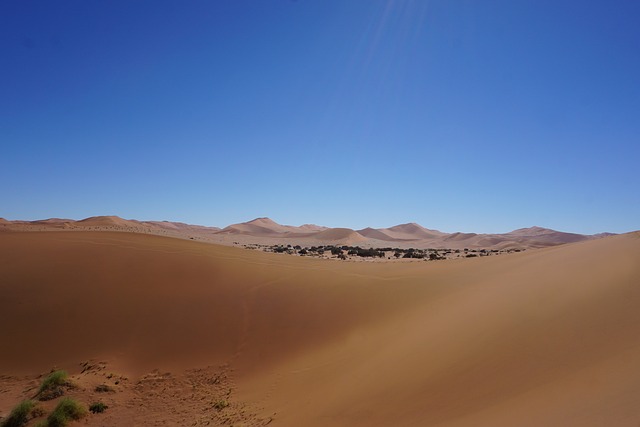 desert dune