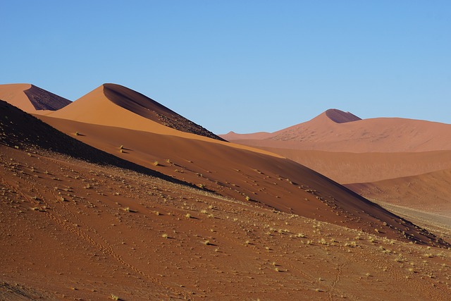 desert dune