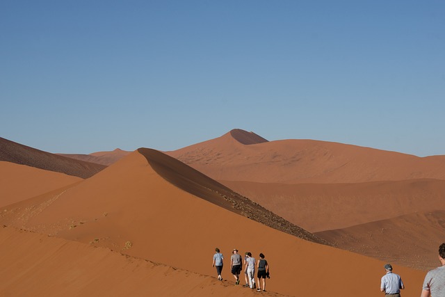desert dune