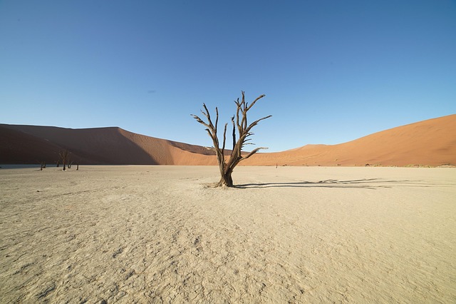 desert-dune-640x480-62857562.jpeg