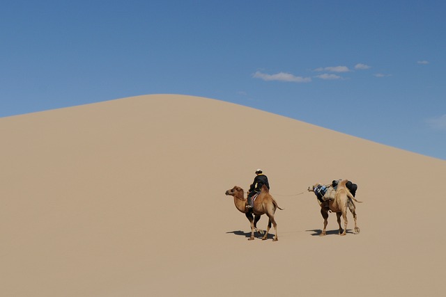 desert dune