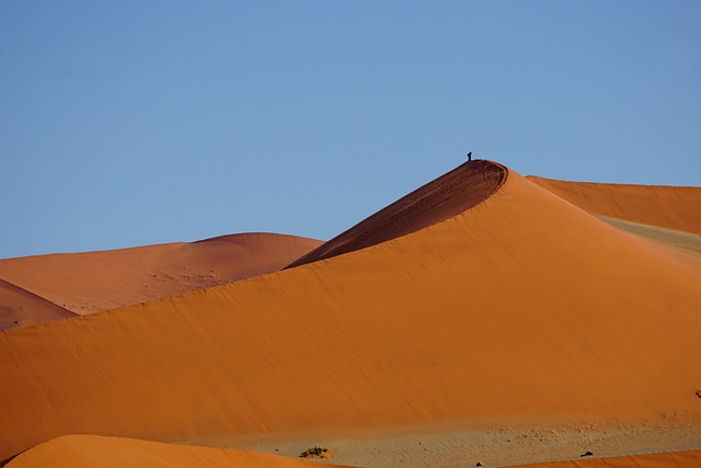 desert dune