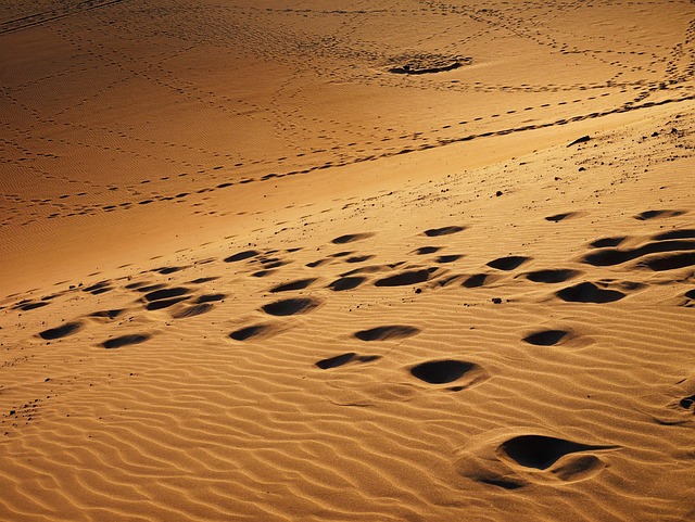 desert dune