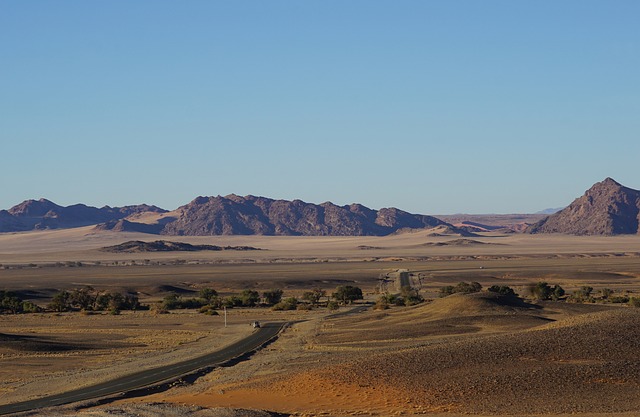 desert dune buggy