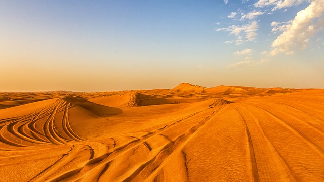 desert dune buggy