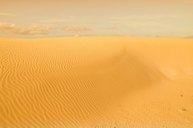 Dubai Desert Dune Buggy: An Epic Adventure Unveiled