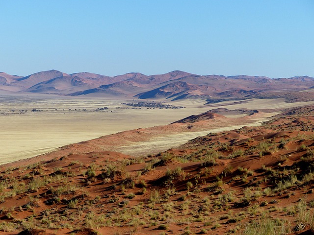 desert dune buggy